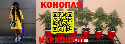 мяу мяу мука Малоярославец