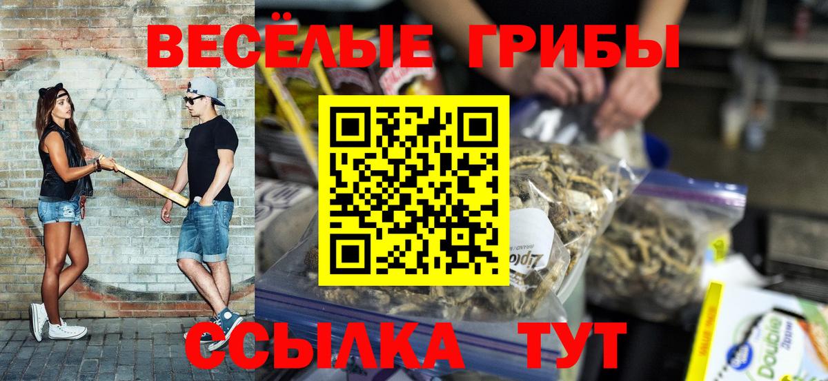 Псилоцибиновые грибы GOLDEN TEACHER  Вход с VPN  Владимир 