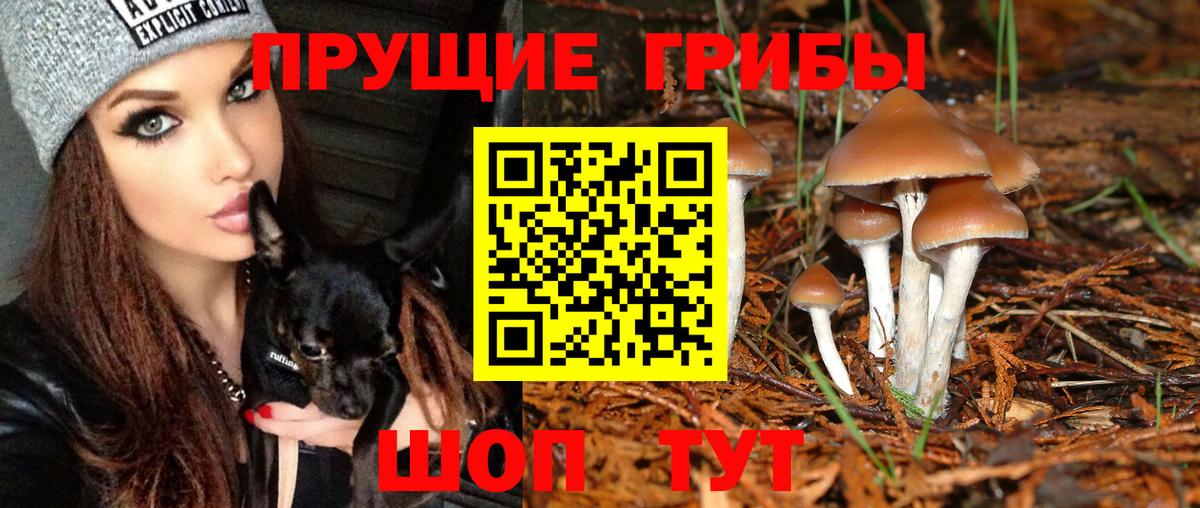Галлюциногенные грибы мухоморы Владимир